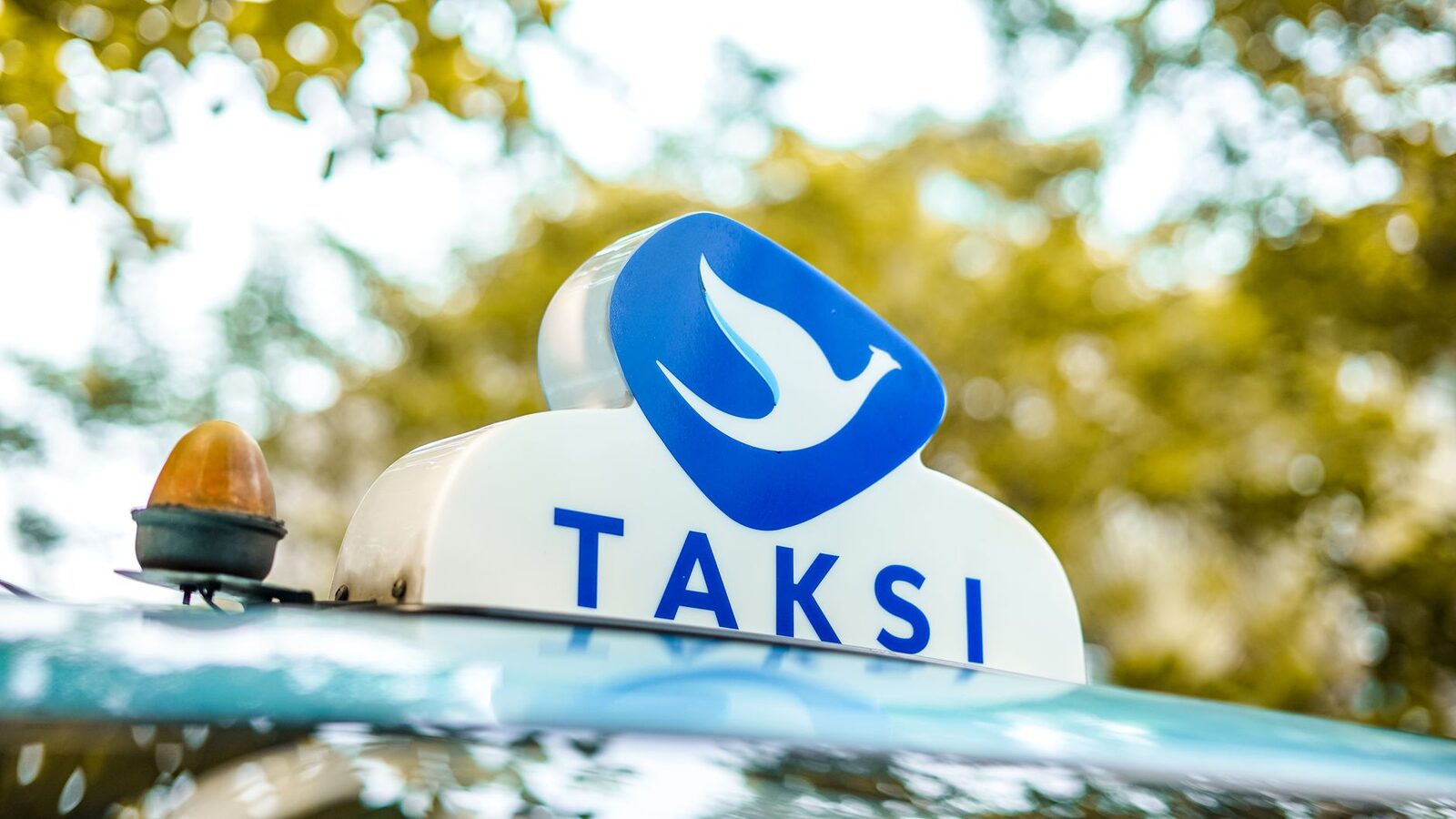 The Blue Bird roof sign and its bird mark — the detail the copycats can never quite match. Book through the Blue Bird app, or just use Grab or Gojek where the price is fixed on screen.