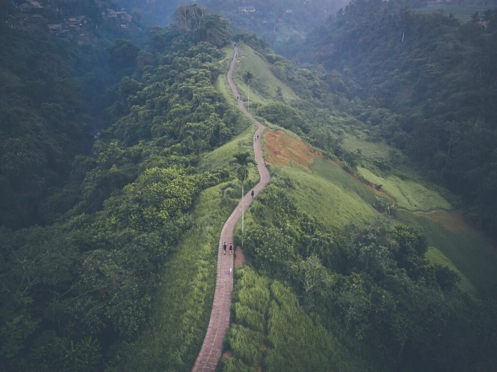 An aerial of the Campuhan ridge, the path tracing its spine.