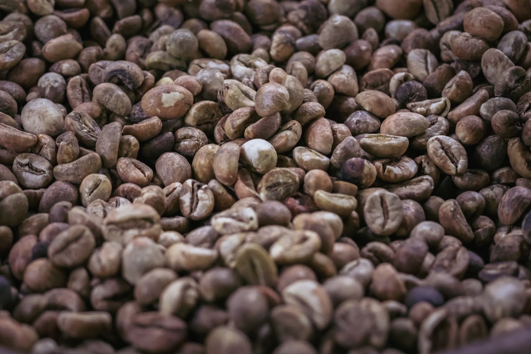 Raw green coffee beans from the highlands