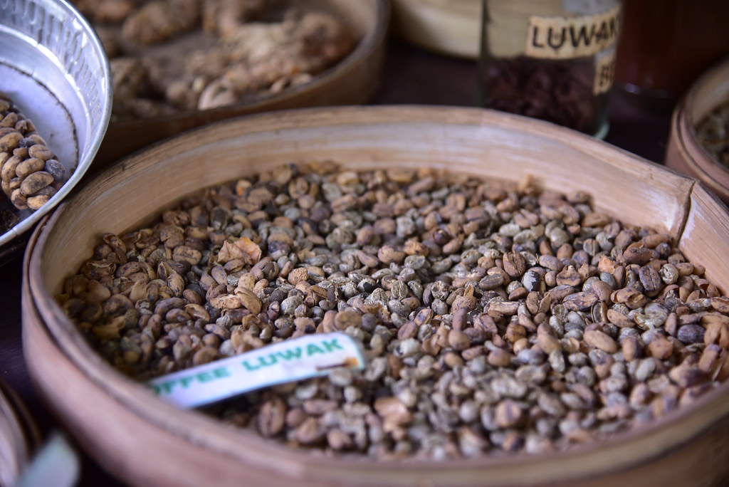 Parchment coffee beans, cleaned but not yet roasted