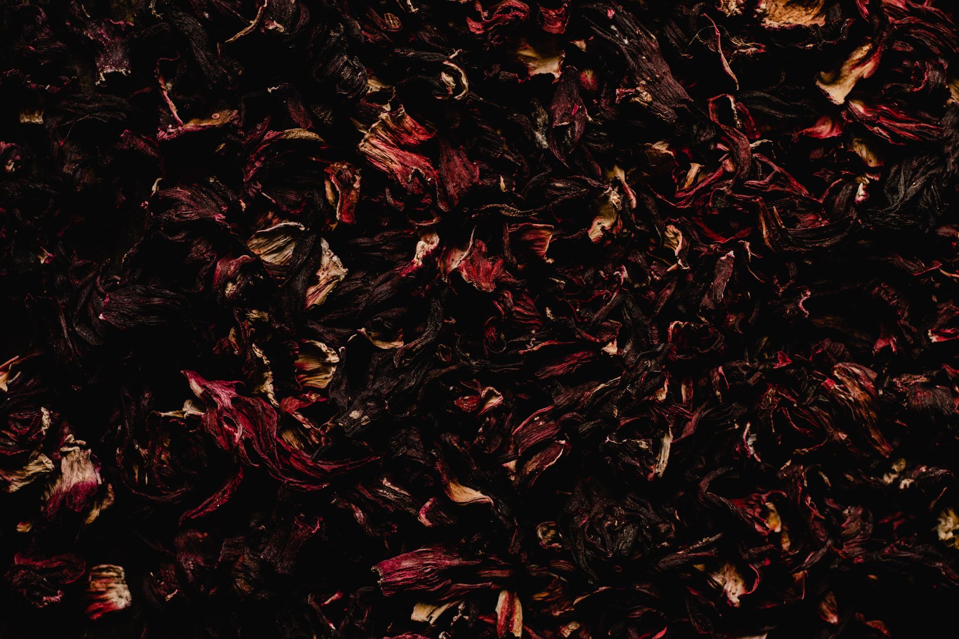 Dried red hibiscus (rosella) petals for tea