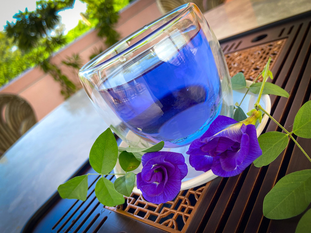 Blue butterfly-pea flower tea with the flowers