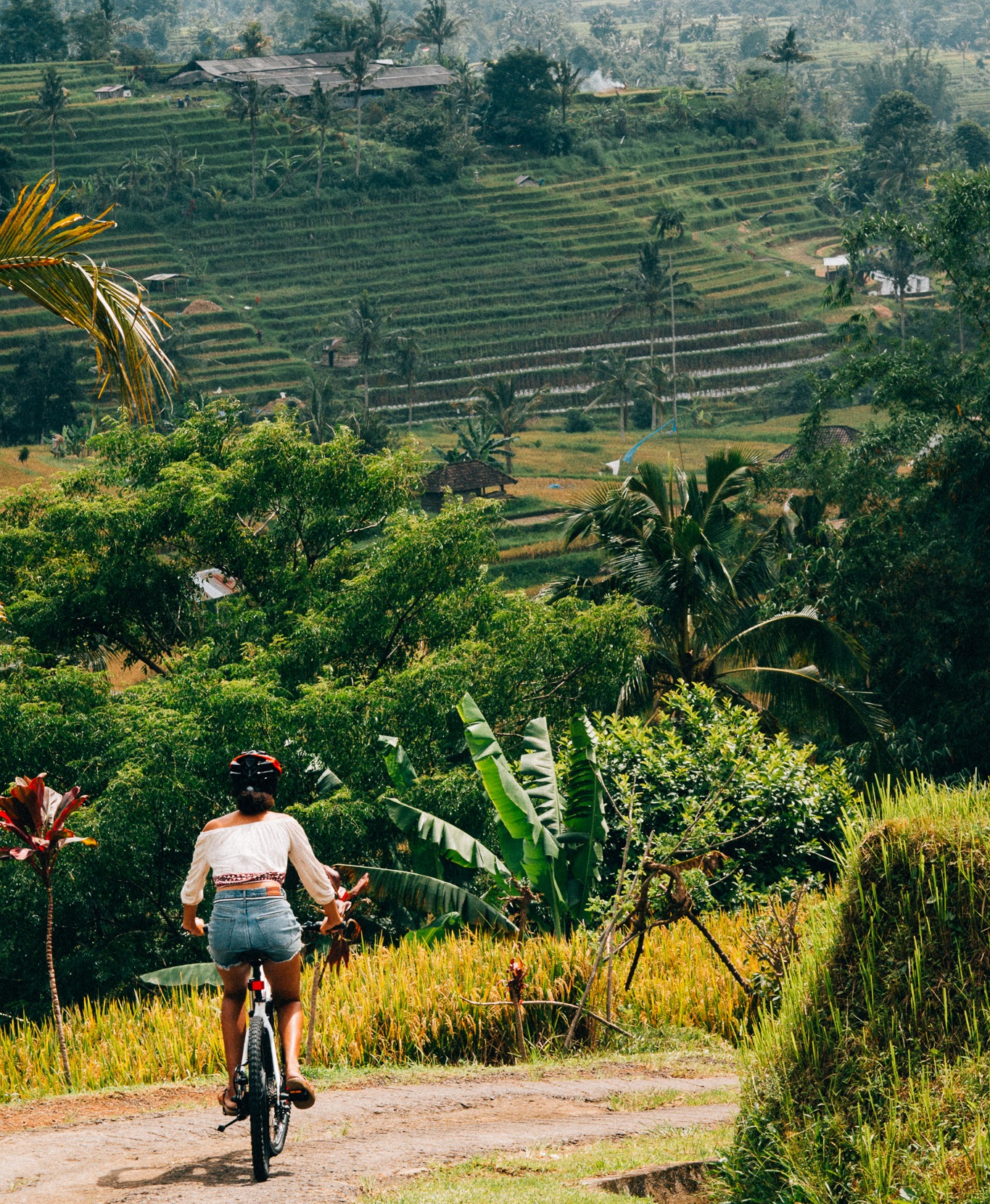 A cyclist riding a lane through the green Jatiluwih rice terraces