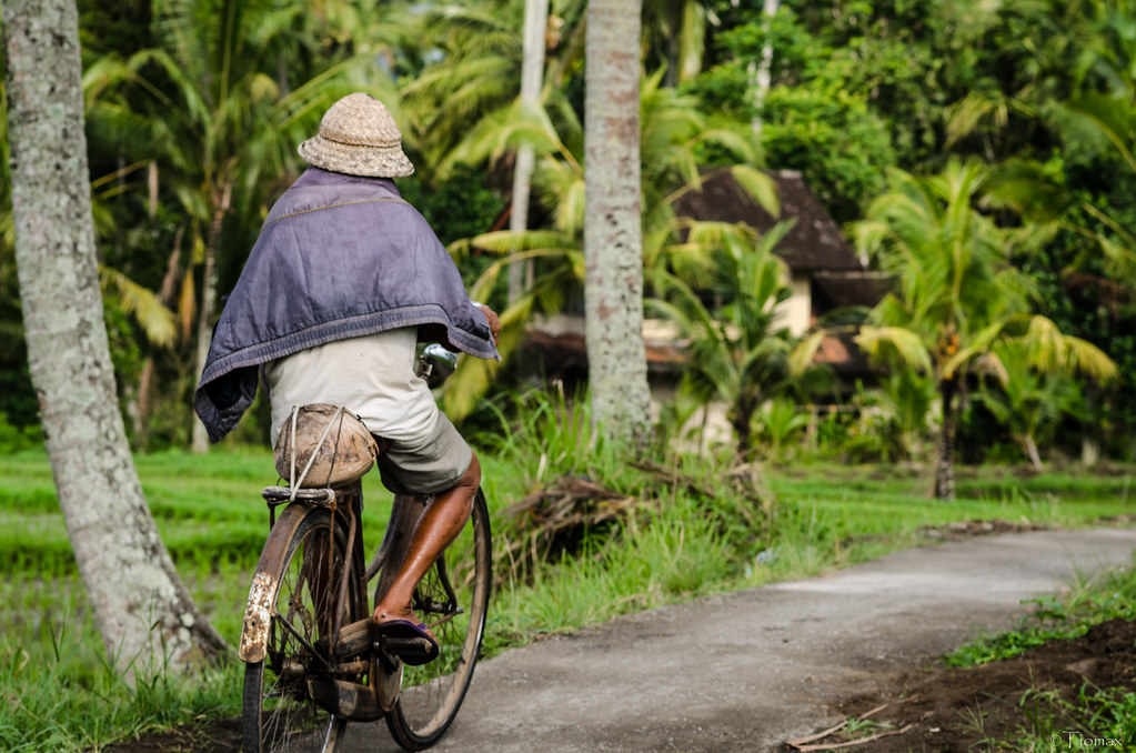 Cycling a track between Bali rice paddies