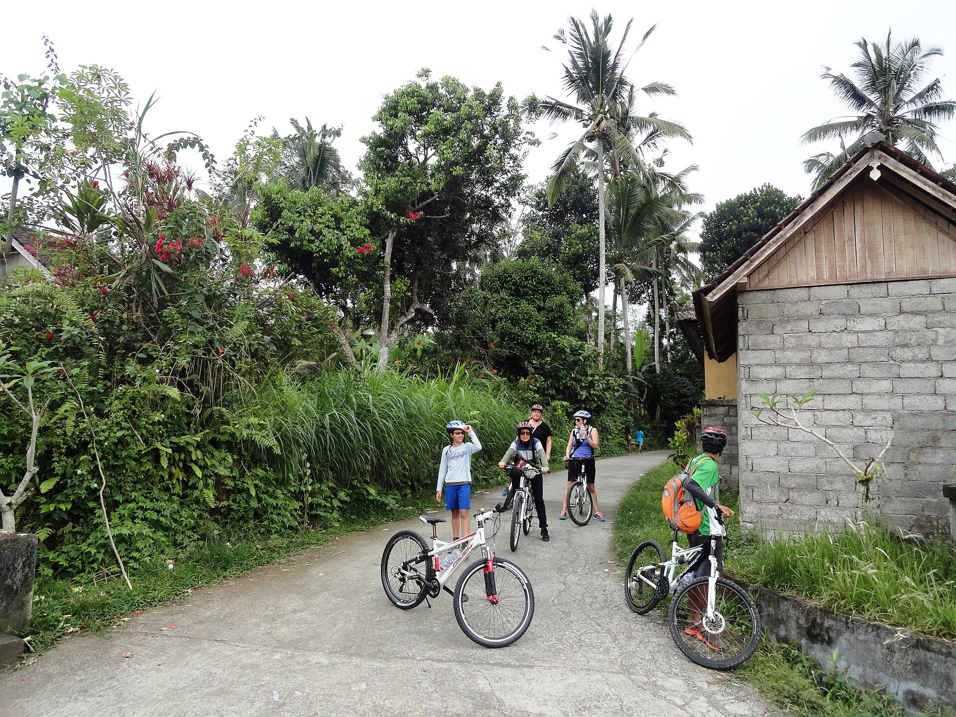 Cyclists freewheeling down a village lane on the Kintamani route