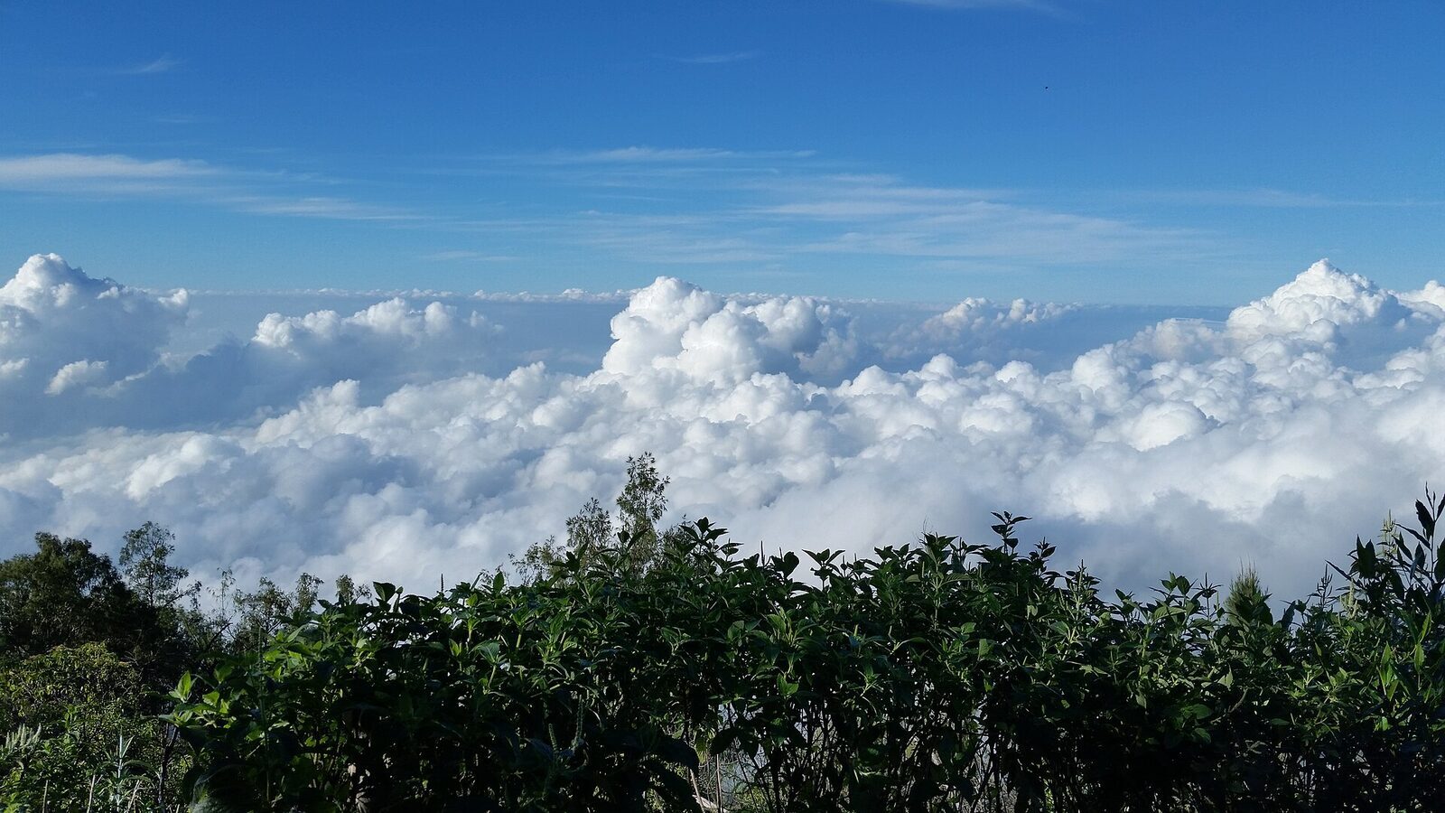 Mount Agung rising over east Bali's rice country