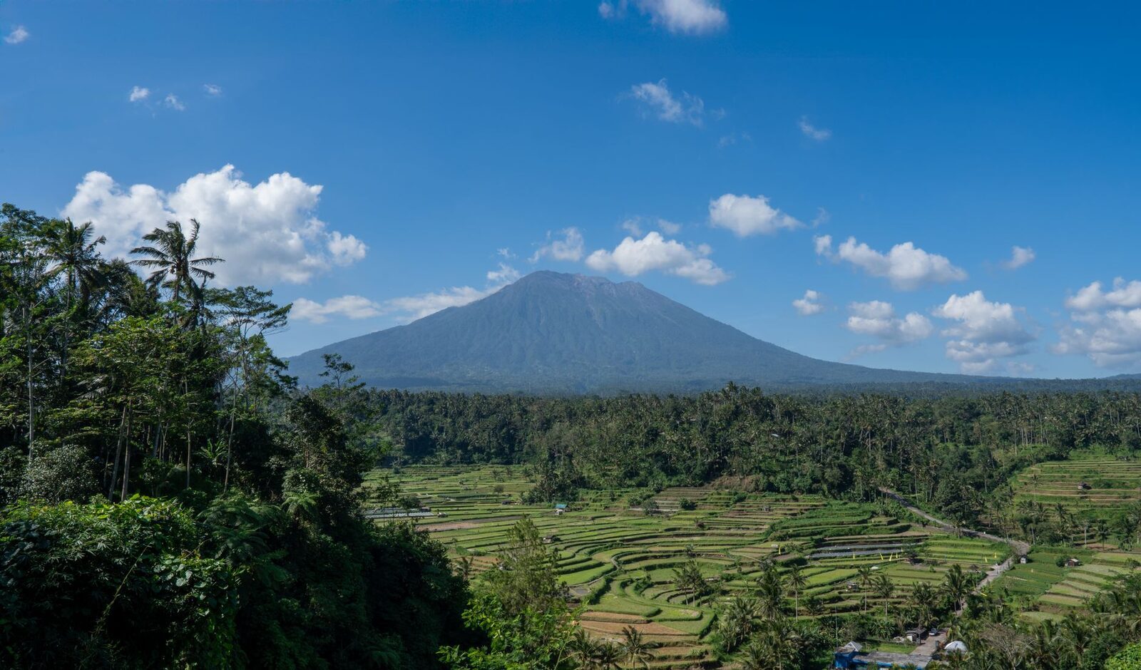 Agung rising behind rice terraces and jungle.