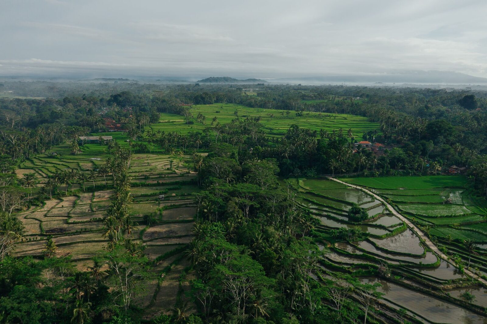 The wide terraced valley under a soft overcast.