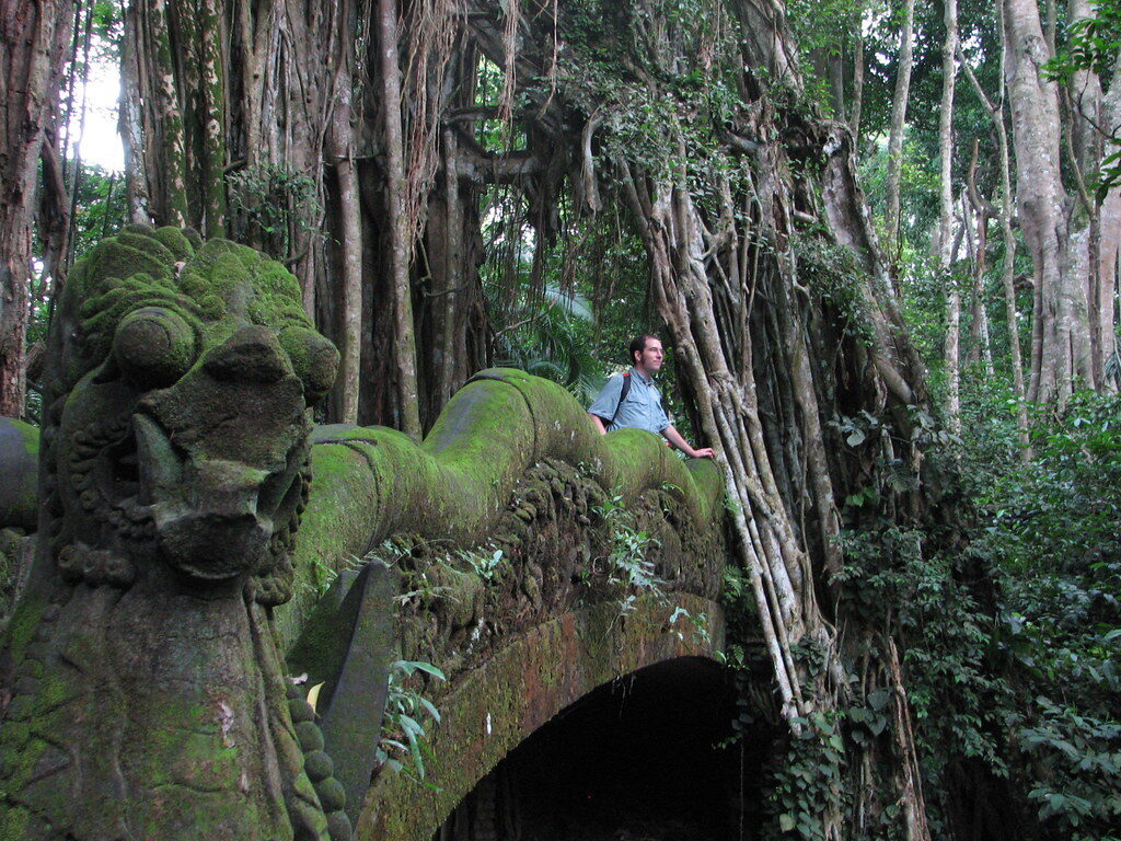 A dragon-carved balustrade thick with moss beside the temple steps.