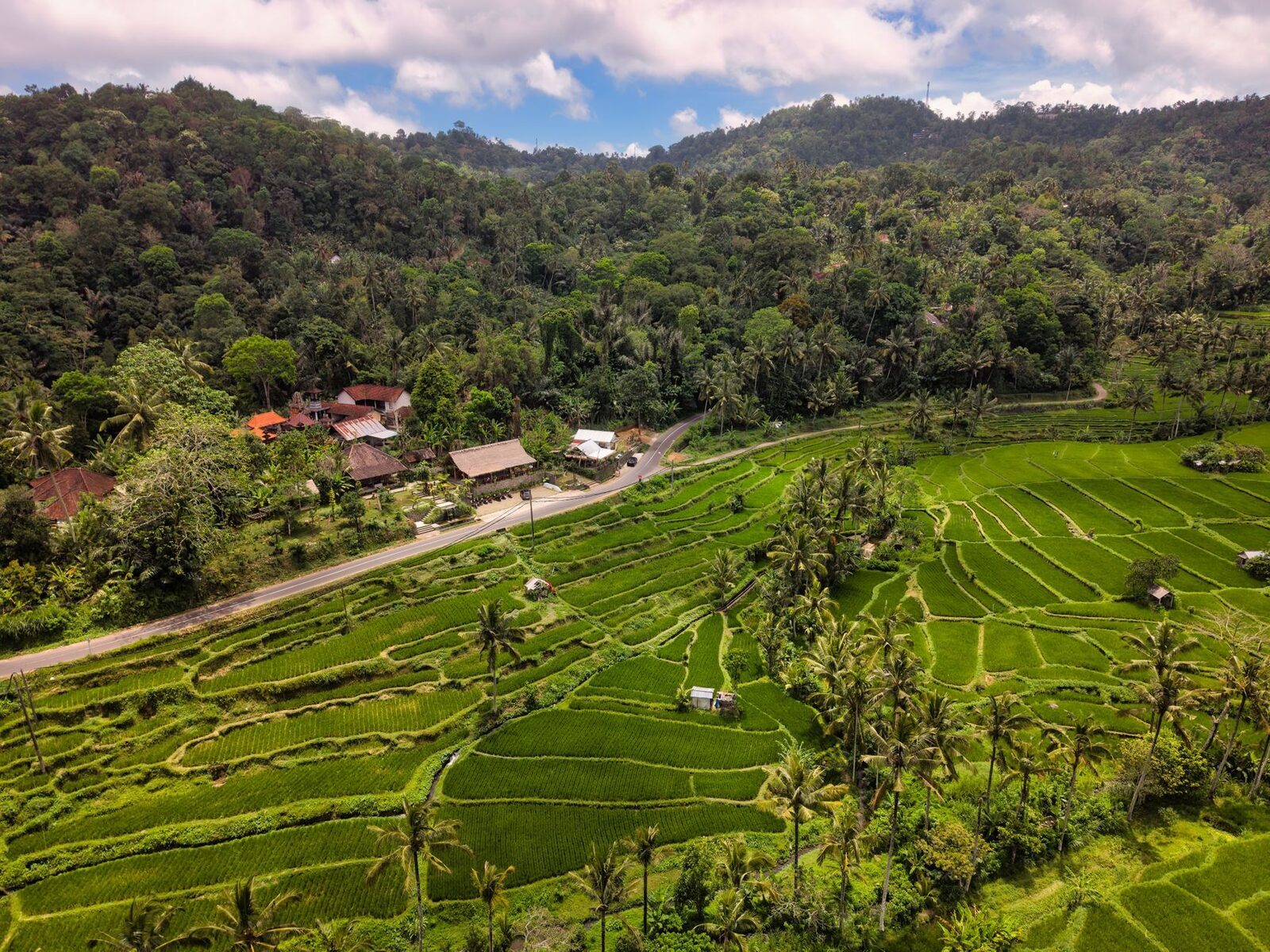 Green terraces, a scatter of roofs and a road threading the ridge — the highland country Munduk sits in.
