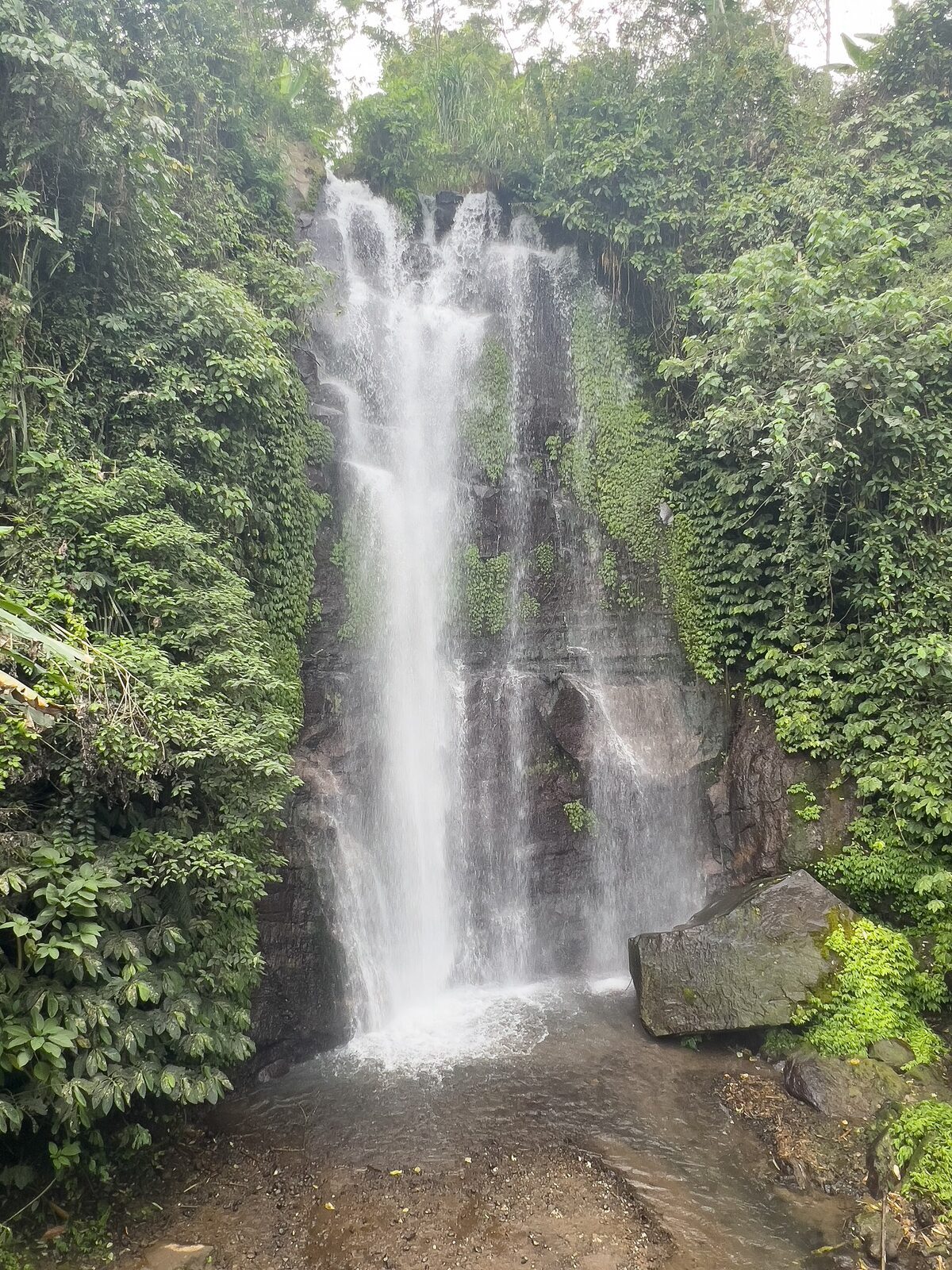 A tall single-drop fall pouring out of the jungle — the classic Munduk-area cascade you walk in to reach.