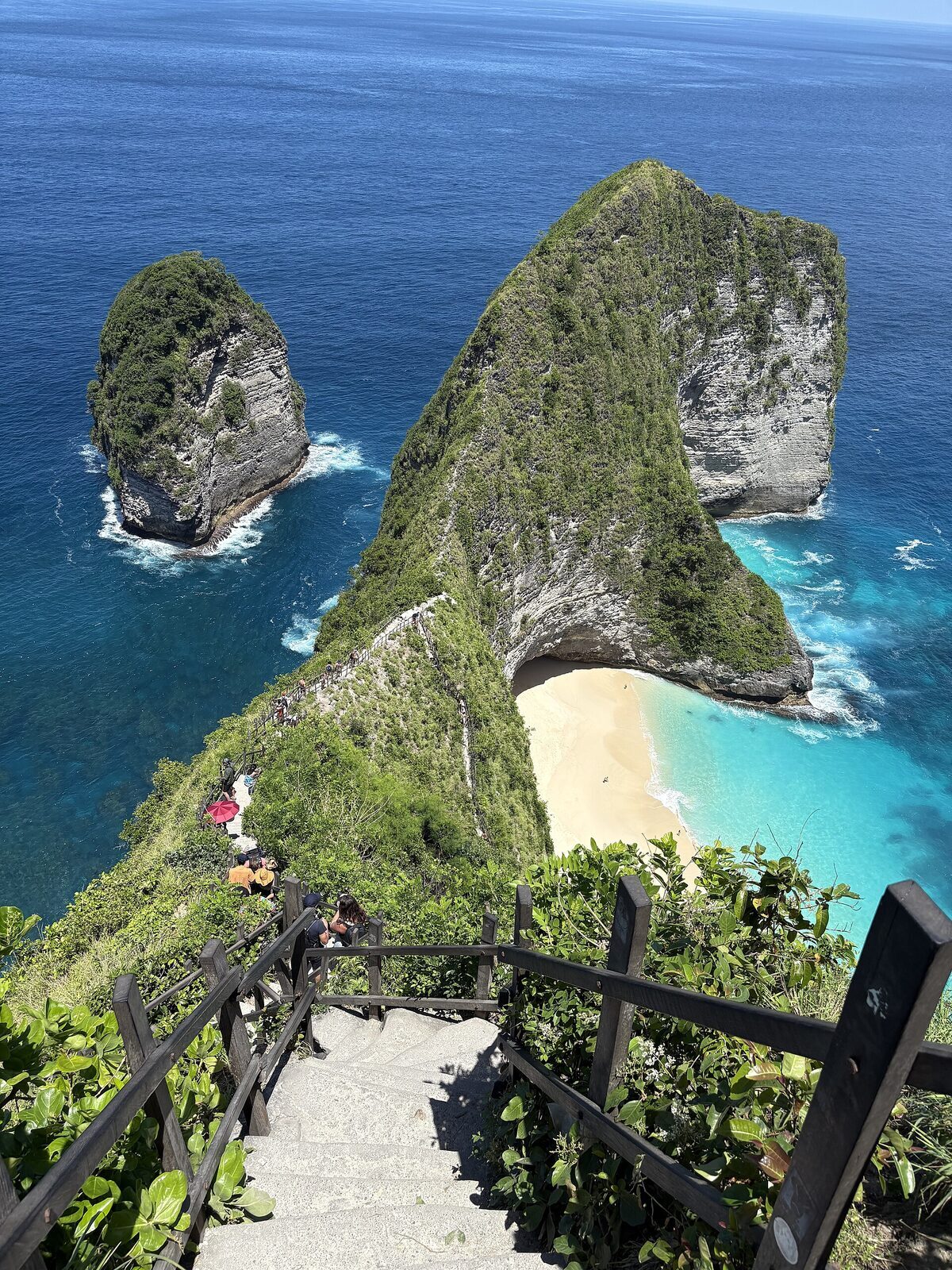 The T-rex-shaped cliff above Kelingking Beach, Nusa Penida