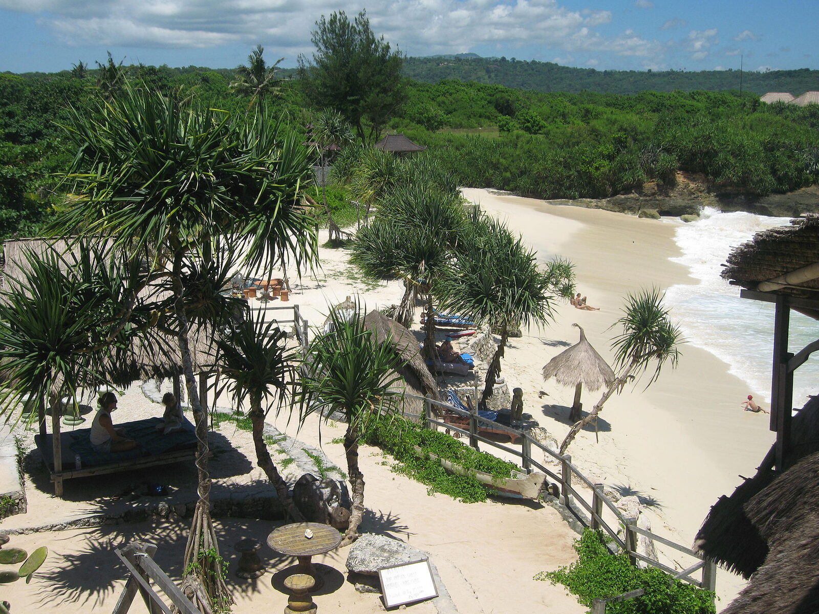 Dream Beach from the cliff, leaning palms over the sand.