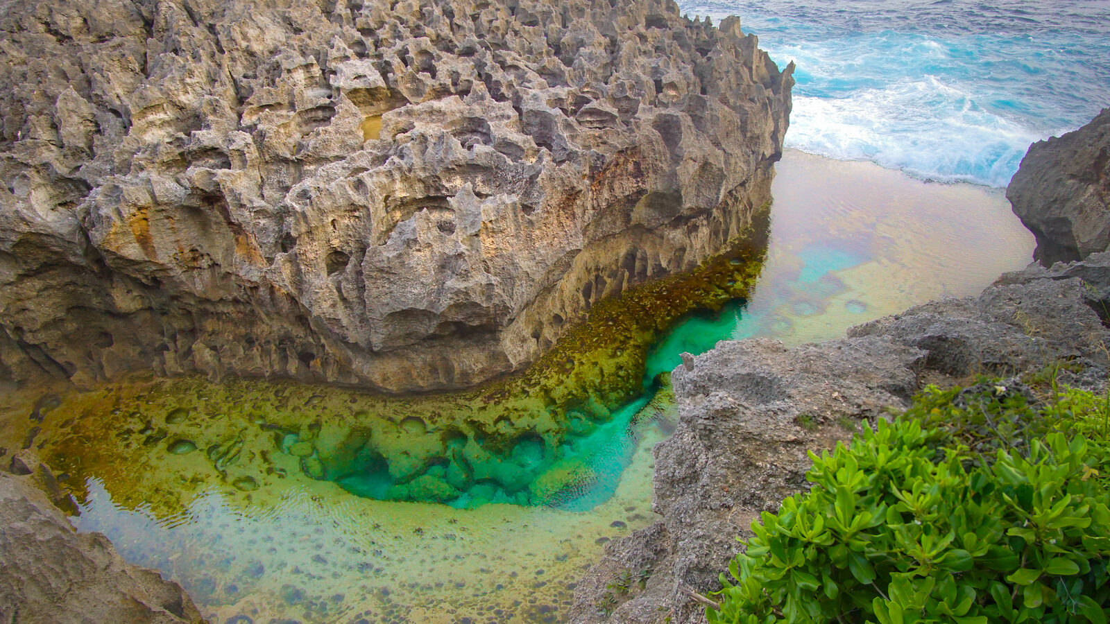 A close look at the green-tinged shallow water of the pool.
