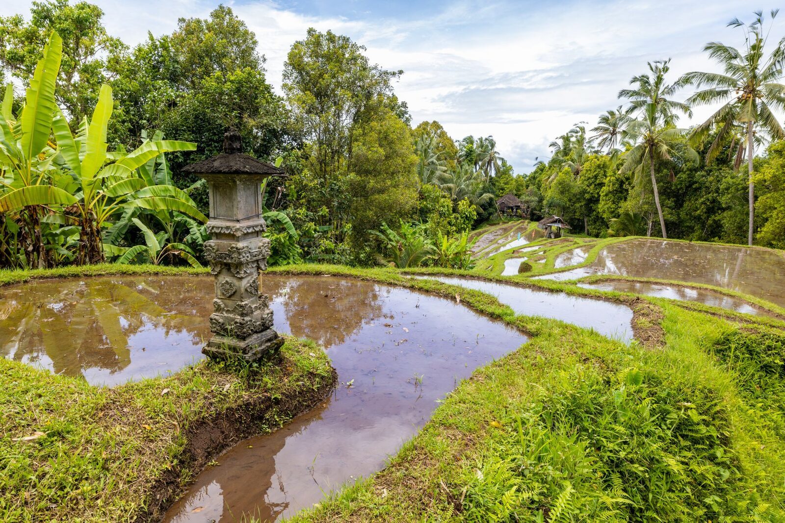 A shrine beside a flooded terrace, offerings left at the water's edge.