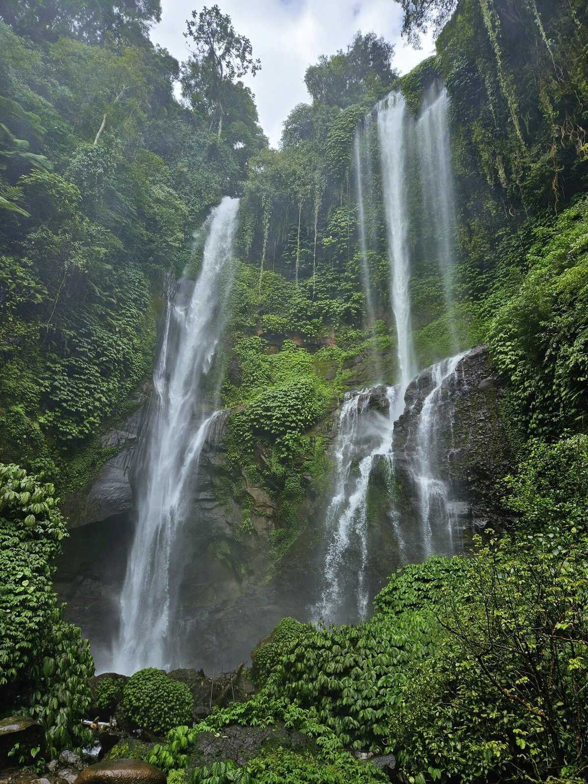 Several ribbons of water pouring down the mossy cliff side by side.