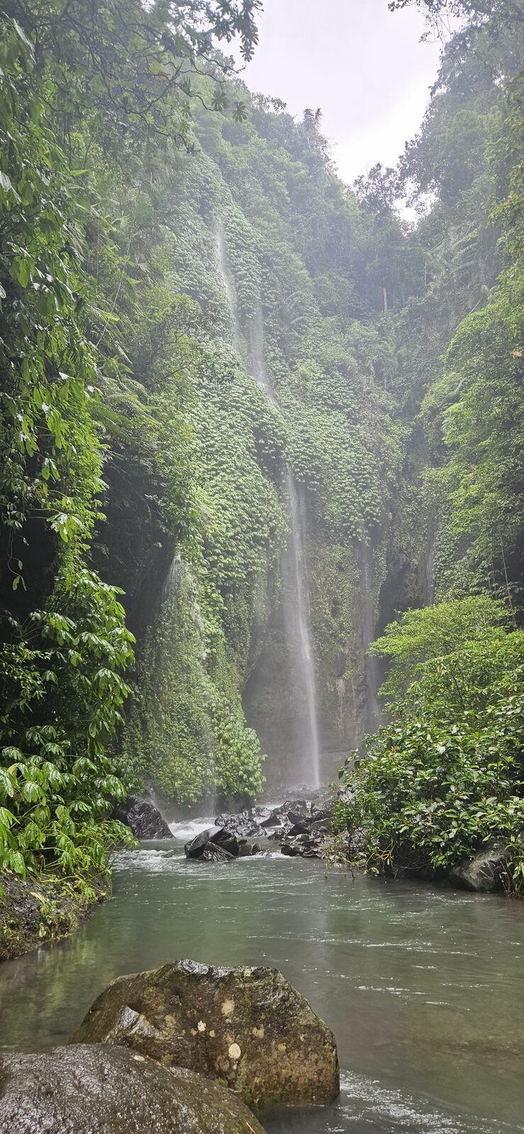 The falls framed by jungle, deep in the green gorge.