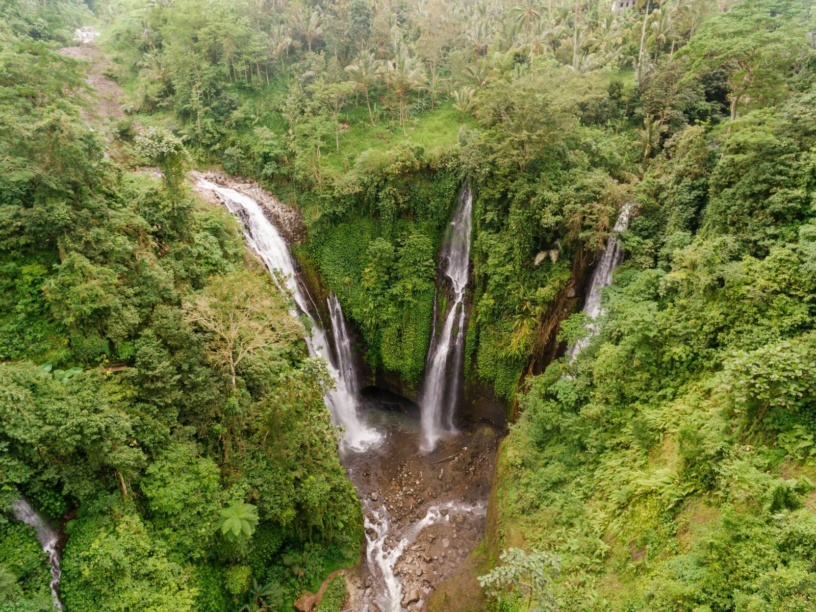 Fiji and Hidden falls share this gorge with Sekumpul — twin cascades seen from above the same green country.