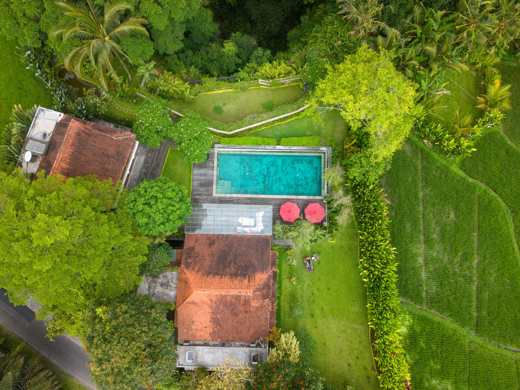 An aerial view of a villa and pool amid greenery