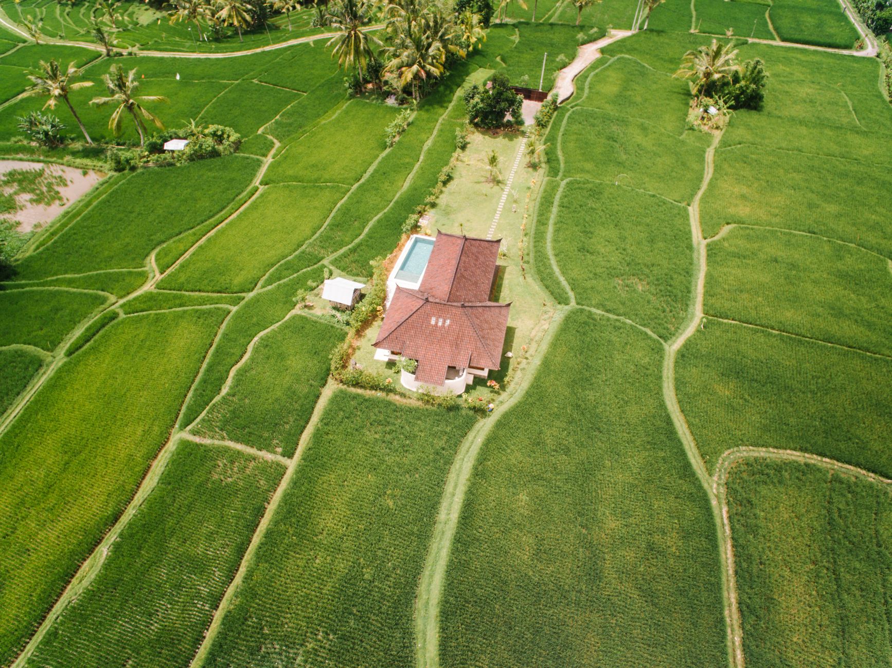 Aerial view of lush farmland