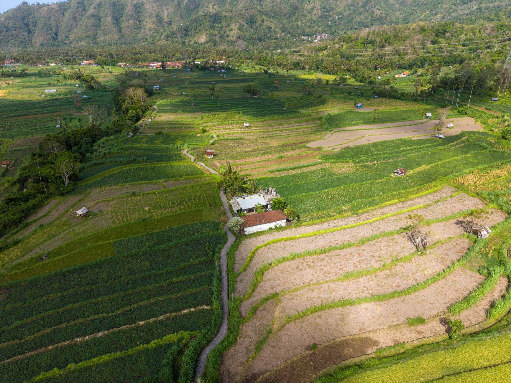 Rice terraces meeting the developed edge
