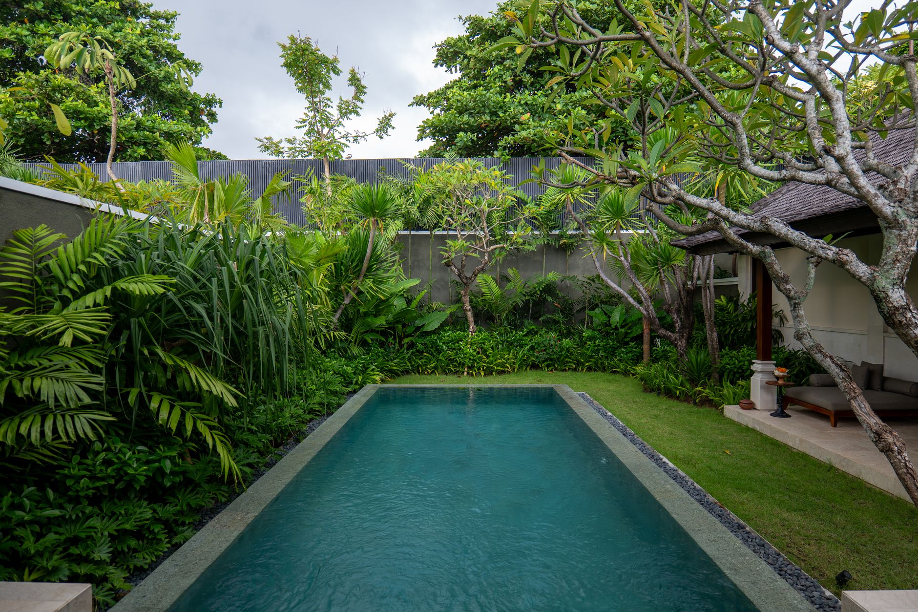 A villa pool surrounded by tropical planting
