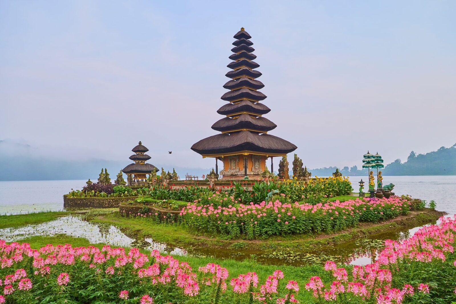The meru rising from a bank of pink flowers planted along the water's edge.