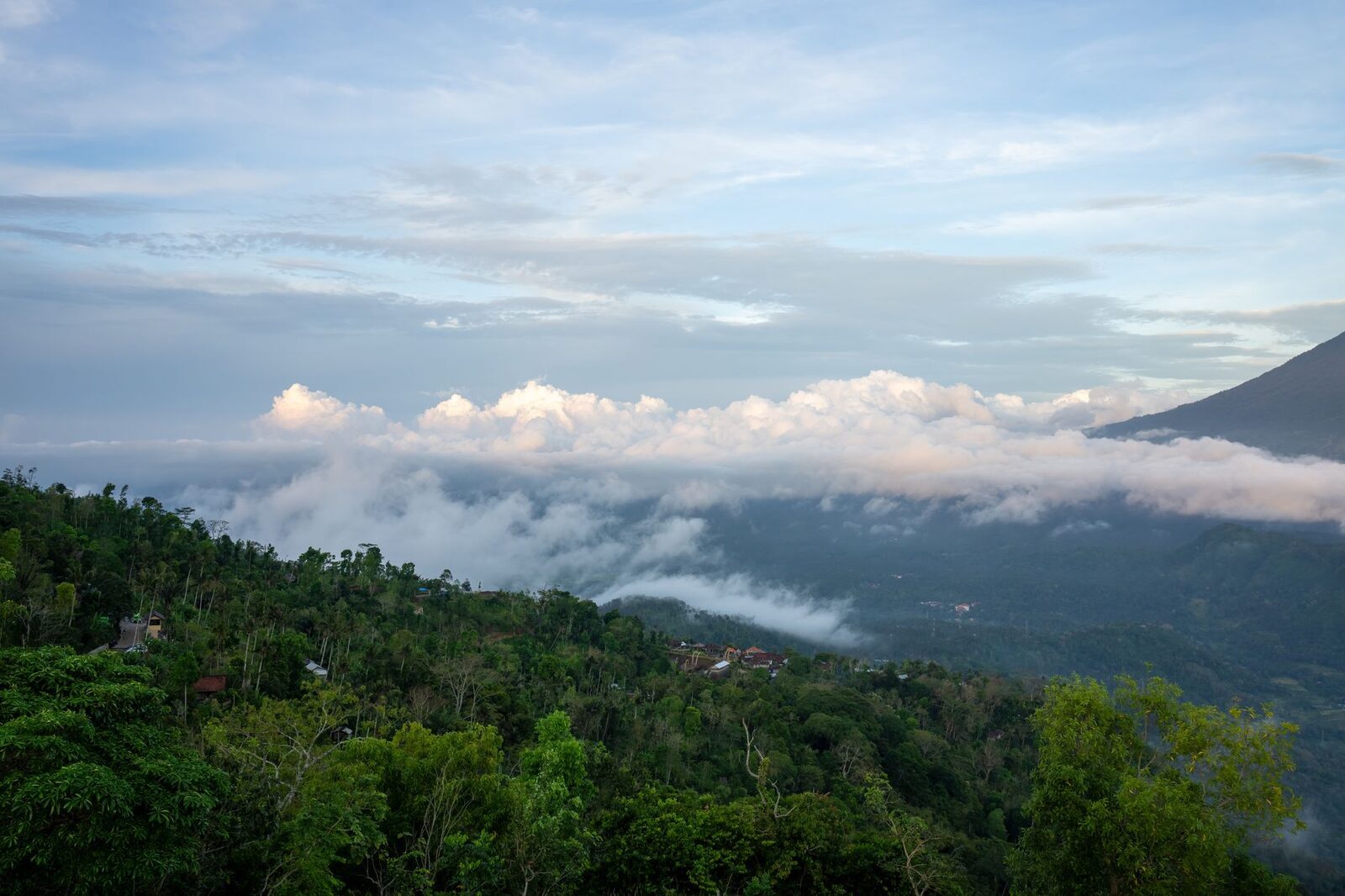 The forested central highlands around Bedugul, cloud drifting over the ridges.