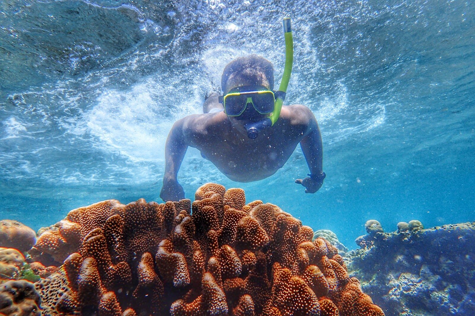 A snorkeller over healthy hard coral in clear, shallow water.