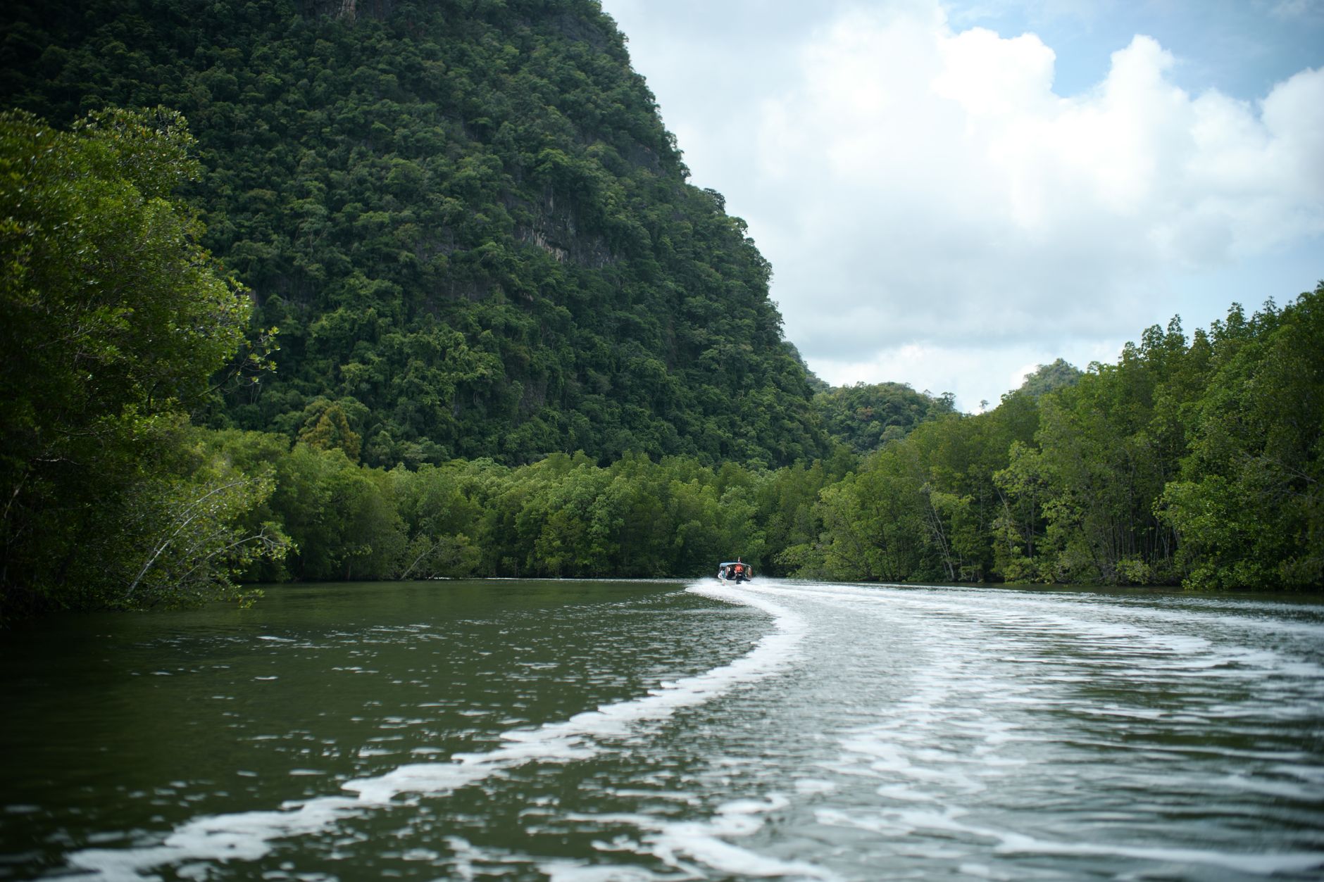 A boat cruising the mangrove river between limestone cliffs at Kilim, Langkawi.